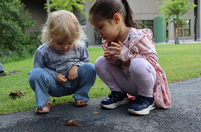 Förskolan Jordgubbsbacken, Eksjö