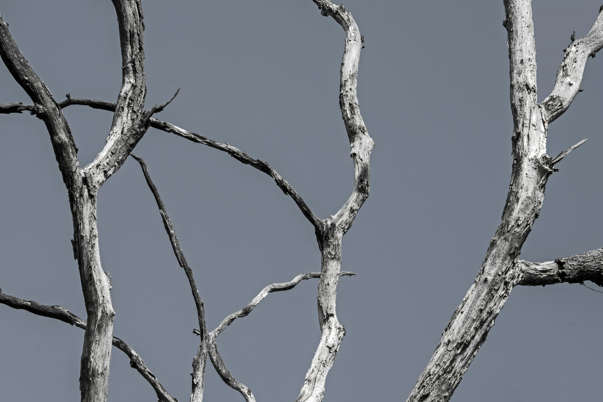 Ett företags träspill är ett annat företags råmaterial