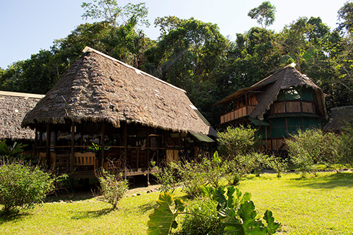 Byggnader med öppna väggar och stråtak i djungeln